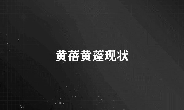 黄蓓黄蓬现状