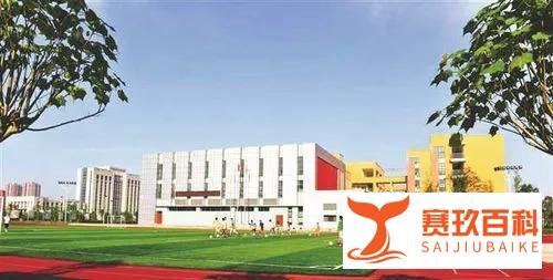 百名公办教师在民校任教?官方通报:高度重视,抓紧制定整改方案