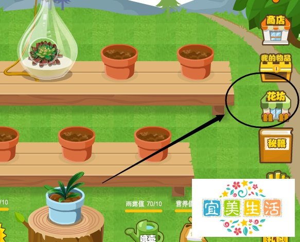 如何让花藤在空间显示？qq空间怎样显示花藤？