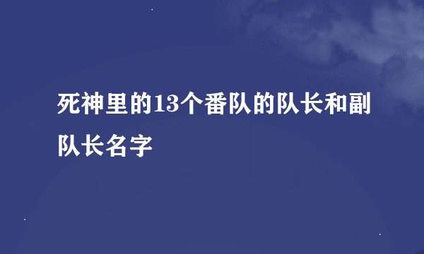 死神里的13个番队的队长和副队长名字
