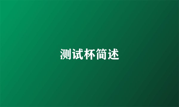 测试杯简述
