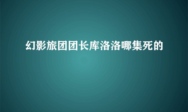 幻影旅团团长库洛洛哪集死的