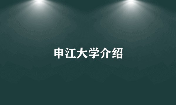 申江大学介绍