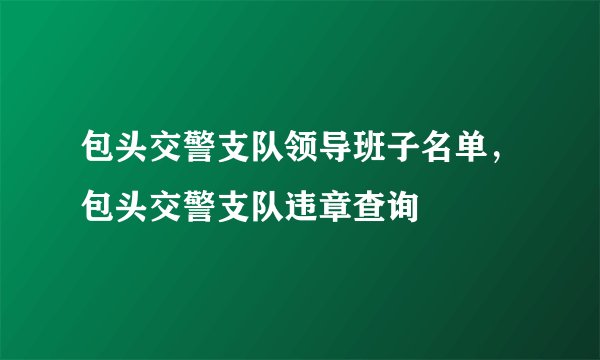 包头交警支队领导班子名单，包头交警支队违章查询