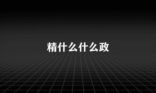 精什么什么政