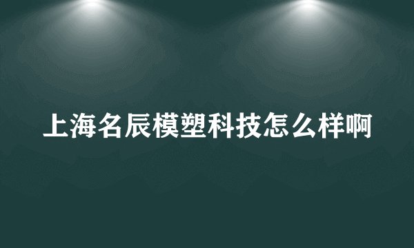 上海名辰模塑科技怎么样啊