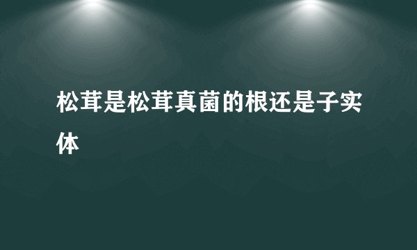 松茸是松茸真菌的根还是子实体