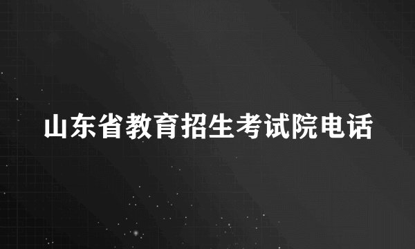 山东省教育招生考试院电话