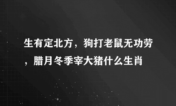 生有定北方，狗打老鼠无功劳，腊月冬季宰大猪什么生肖