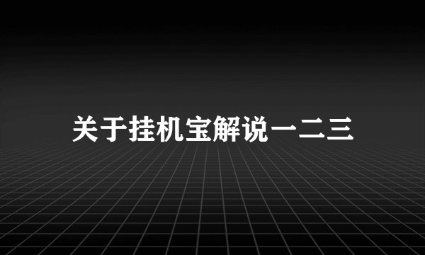 关于挂机宝解说一二三