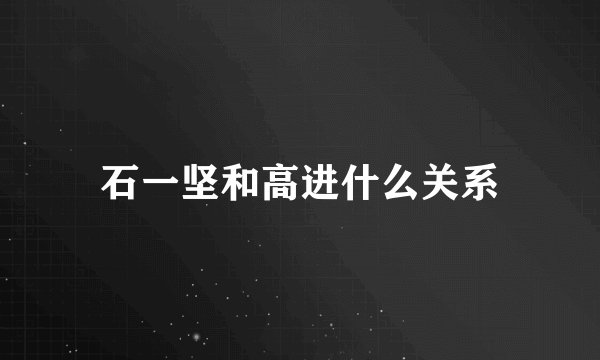 石一坚和高进什么关系