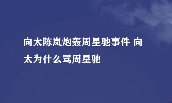向太陈岚炮轰周星驰事件 向太为什么骂周星驰