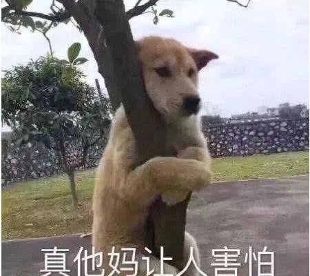借呗、花呗重大调整!5亿网友瞬间懵了