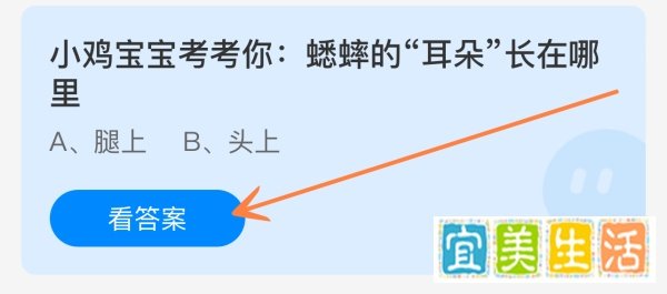 蚂蚁庄园2024年8月31日的最新答案是什么呢？