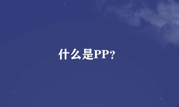 什么是PP？
