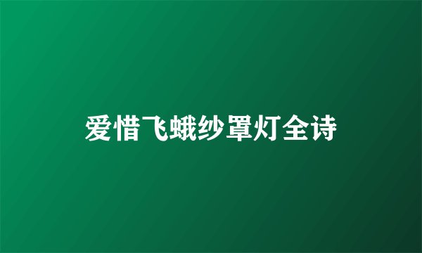 爱惜飞蛾纱罩灯全诗