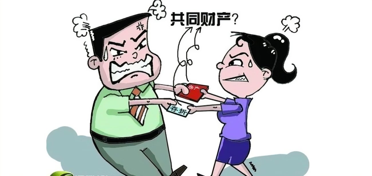 委员建议配偶有权查询另一方财产，这条建议的本意是什么？