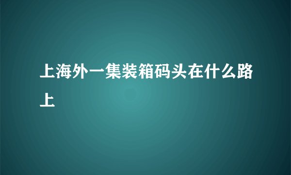 上海外一集装箱码头在什么路上