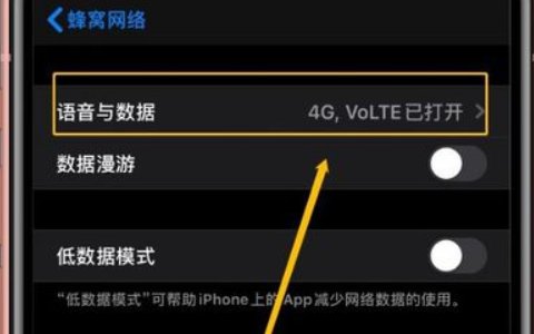 苹果手机如何设置一边通话一边上网？