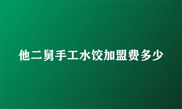 他二舅手工水饺加盟费多少