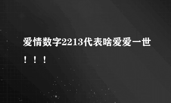 爱情数字2213代表啥爱爱一世！！！