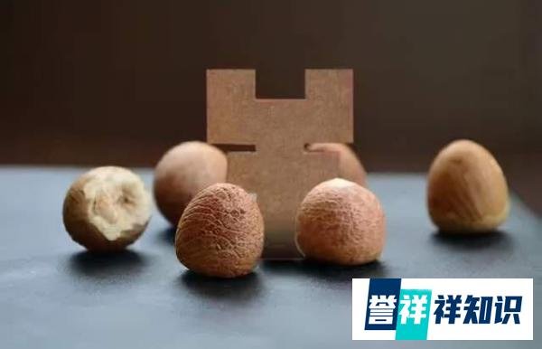 槟榔暗战三十年