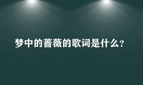 梦中的蔷薇的歌词是什么？