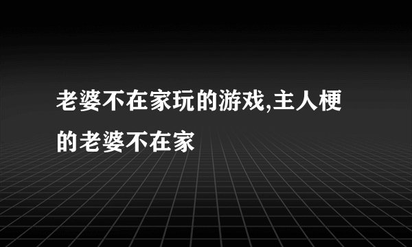 老婆不在家玩的游戏,主人梗的老婆不在家