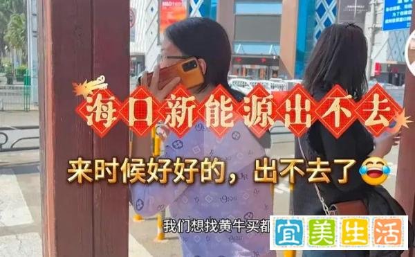闹大了，海南新能源车离岛一票难求“人走车留”上千辆，有钱任性