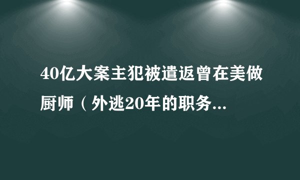 40亿大案主犯被遣返曾在美做厨师（外逃20年的职务犯罪嫌疑人许国俊被强制遣返回国）