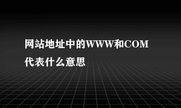 网站地址中的WWW和COM代表什么意思