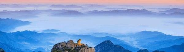 淘宝每日好店怎么上？入驻要注意什么？