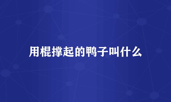 用棍撑起的鸭子叫什么