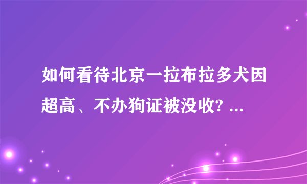 如何看待北京一拉布拉多犬因超高、不办狗证被没收? - 知乎
