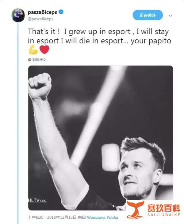 VP宣布解散——廉颇老矣，不能饭矣。