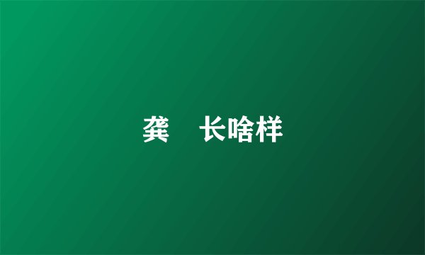 龚玥长啥样
