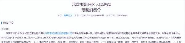 李亚鹏被限制高消费:有钱不给就应该强制执行