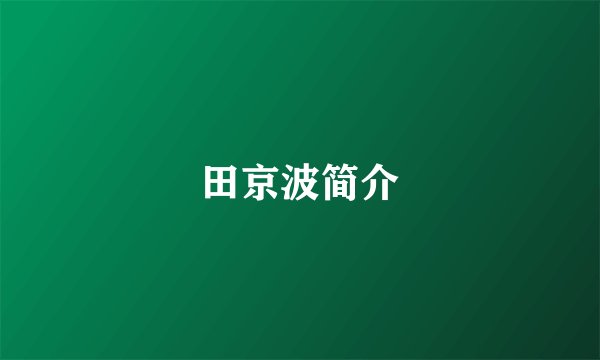 田京波简介