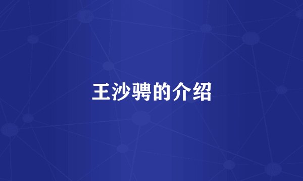 王沙骋的介绍