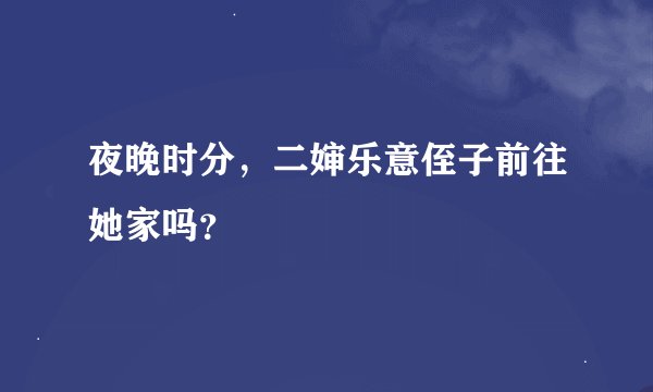 夜晚时分，二婶乐意侄子前往她家吗？