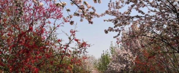 石家庄植物园攻略