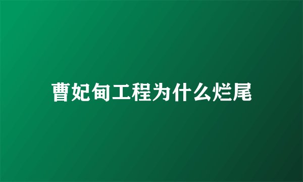 曹妃甸工程为什么烂尾