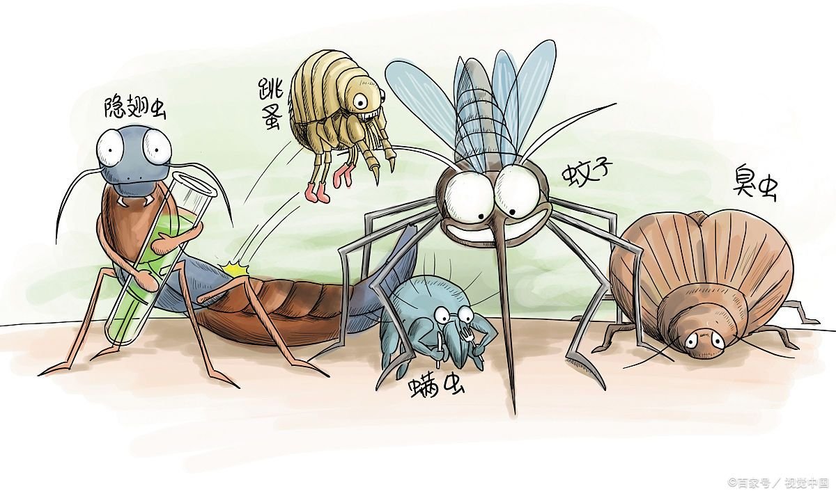 河南又一位老人感染蜱虫病病逝,去世前身体曾有哪些症状?