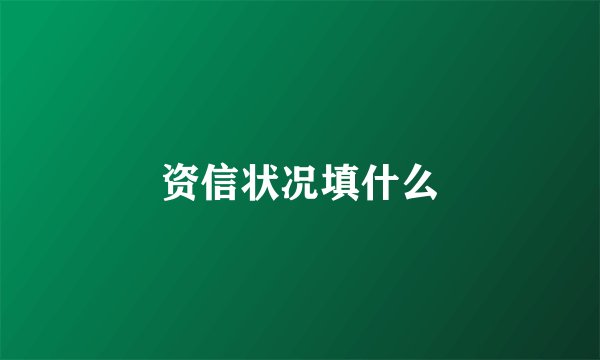 资信状况填什么
