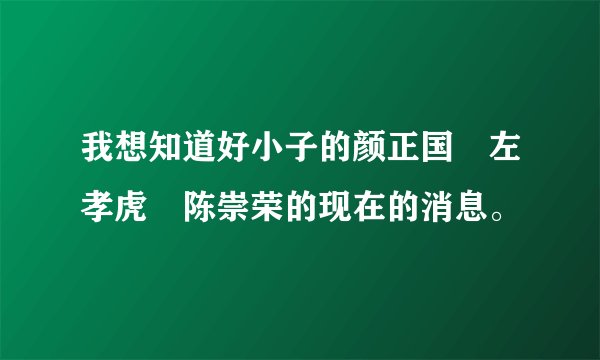我想知道好小子的颜正国 左孝虎 陈崇荣的现在的消息。