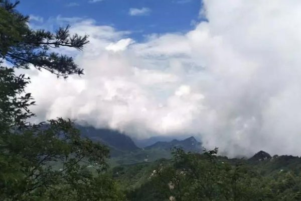 yan怎么读