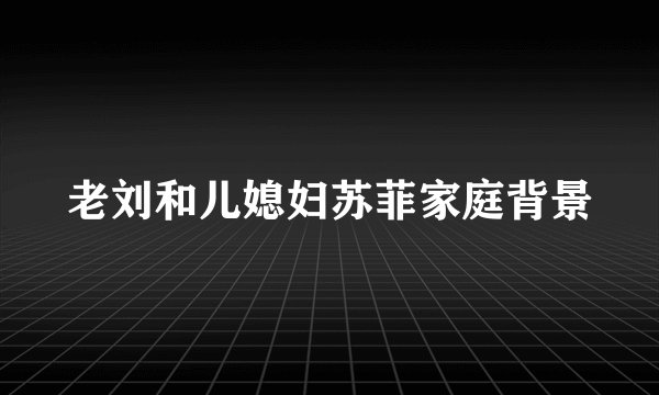 老刘和儿媳妇苏菲家庭背景
