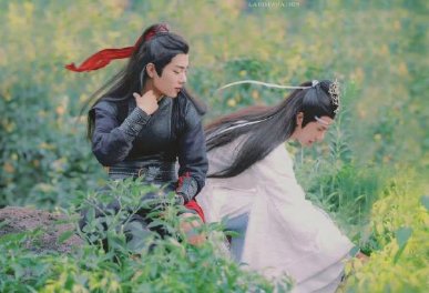 《陈情令》获第八届贵州省文艺奖电视类三等奖，这部剧为什么能获奖？