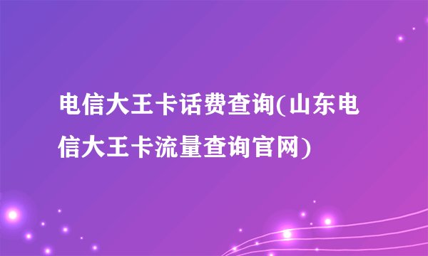电信大王卡话费查询(山东电信大王卡流量查询官网)