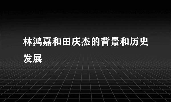 林鸿嘉和田庆杰的背景和历史发展